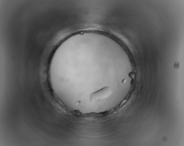 X0000102241407200807250827