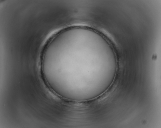 X0000102241408200807250827