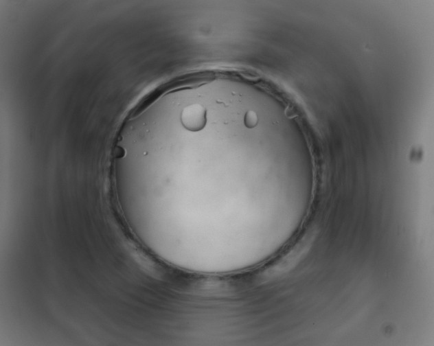 X0000102241409200807250827