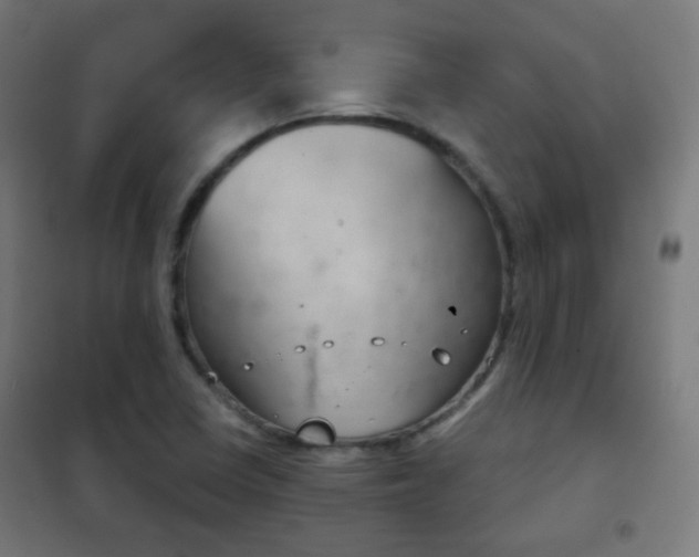 X0000102241410200807250827