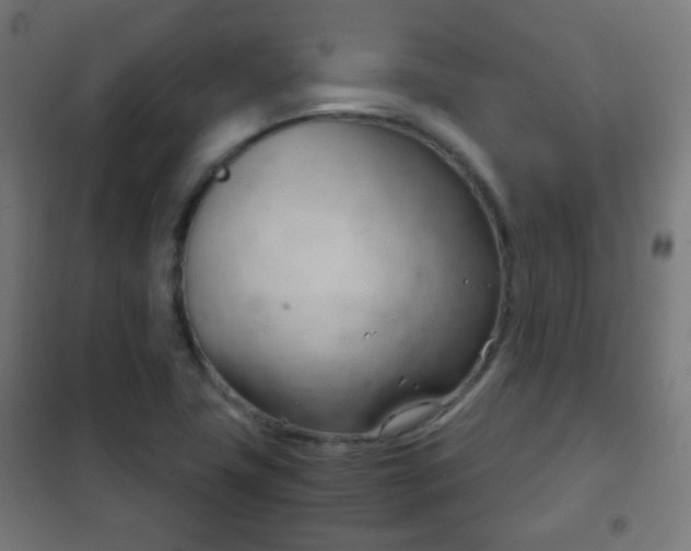 X0000102241411200807250827