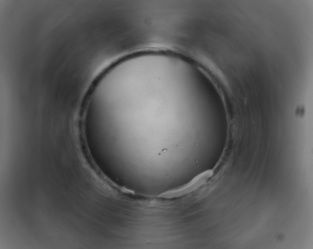 X0000102241412200807250827