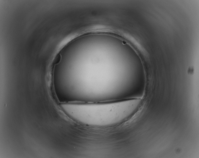 X0000102241413200807250827