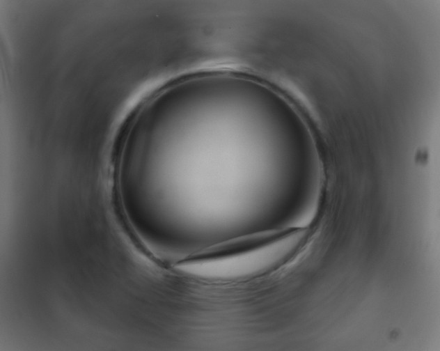 X0000102241414200807250827