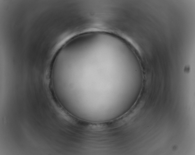 X0000102241415200807250827