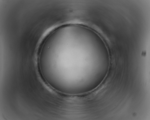 X0000102241416200807250827