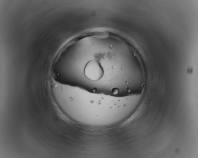 X0000102241417200807250827