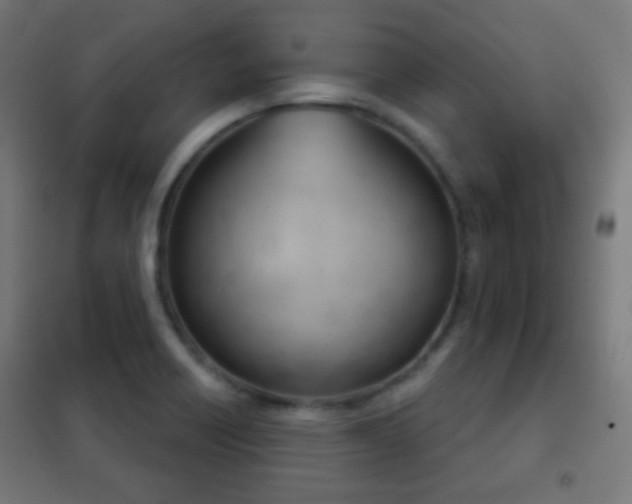 X0000102241418200807250827