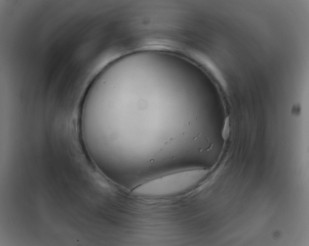 X0000102241419200807250827