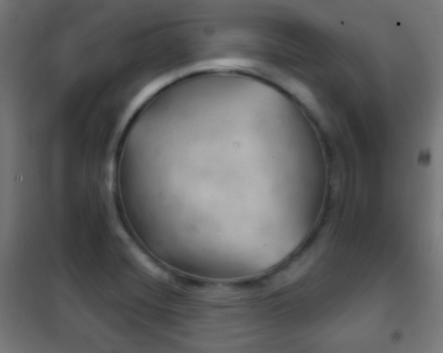 X0000102241420200807250827