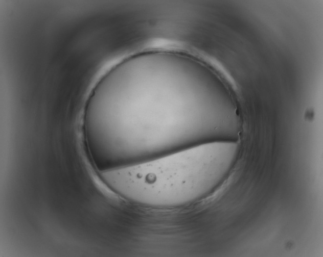 X0000102241421200807250827