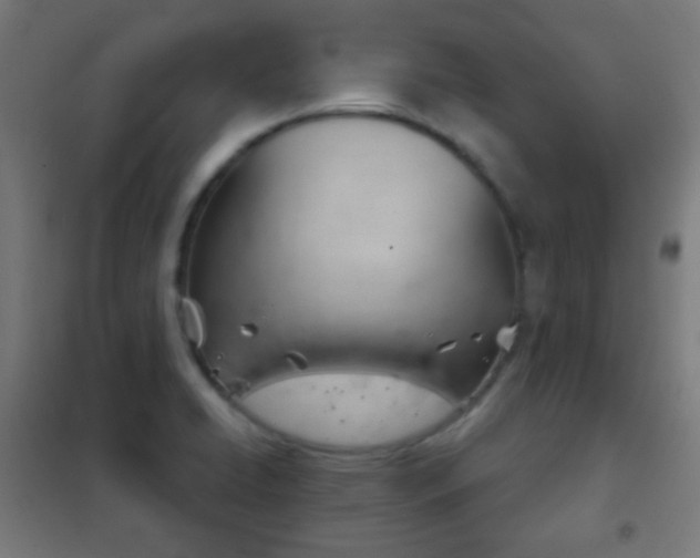 X0000102241422200807250827