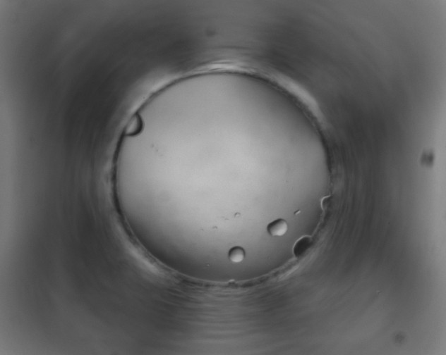 X0000102241423200807250827
