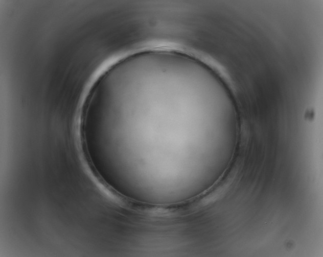 X0000102241424200807250827