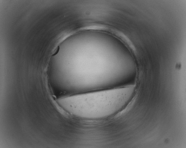 X0000102241425200807250827