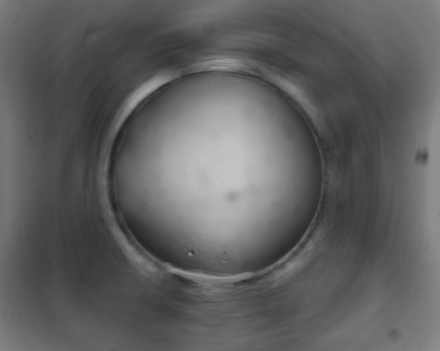 X0000102241426200807250827