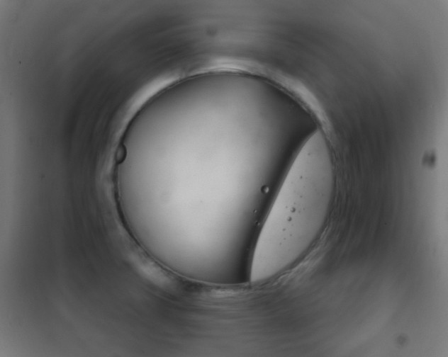 X0000102241427200807250827