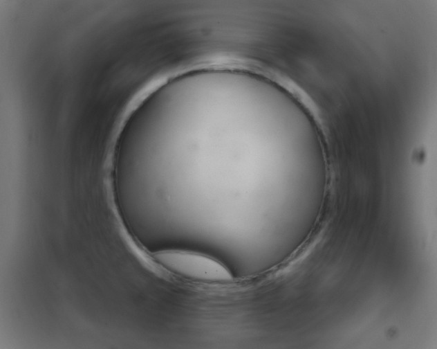 X0000102241429200807250827