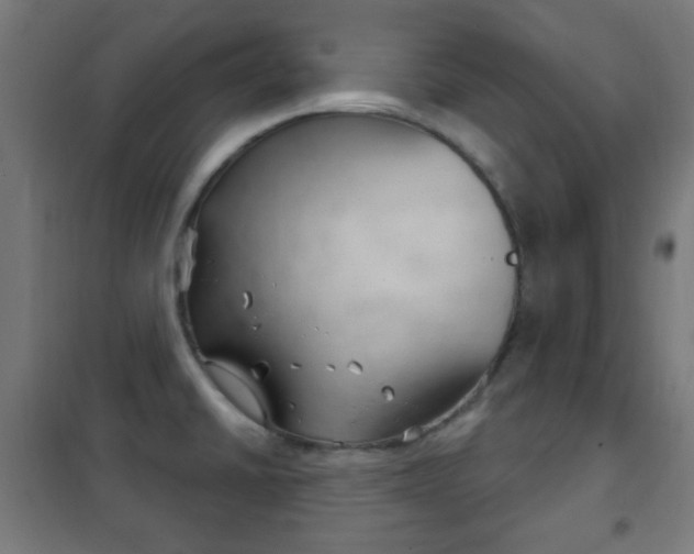 X0000102241430200807250827