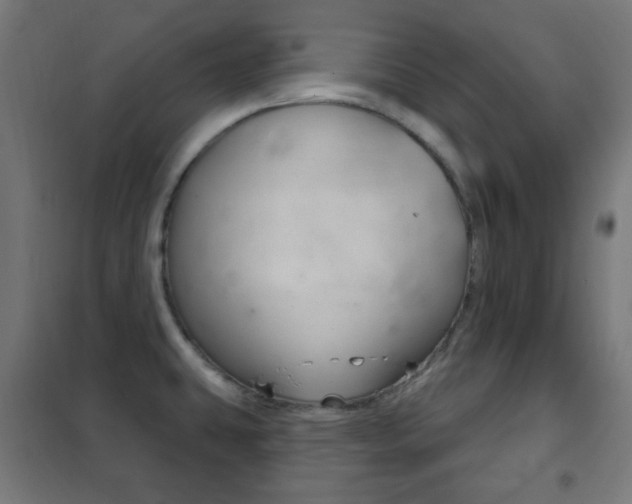 X0000102241431200807250827