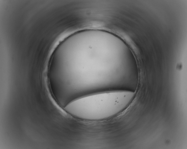 X0000102241432200807250827