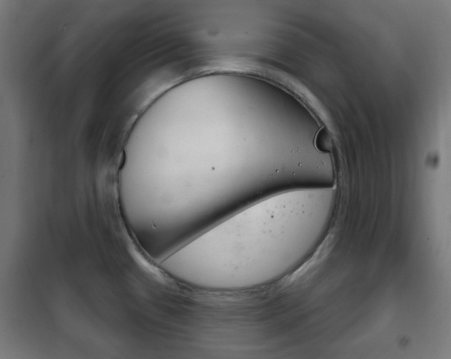 X0000102241433200807250827