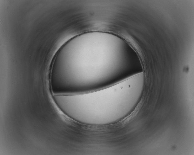 X0000102241434200807250827