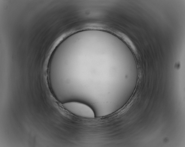 X0000102241435200807250827