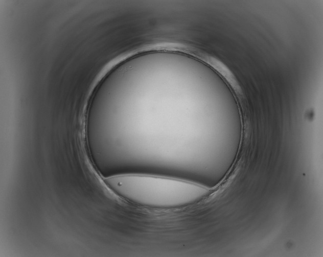 X0000102241436200807250827