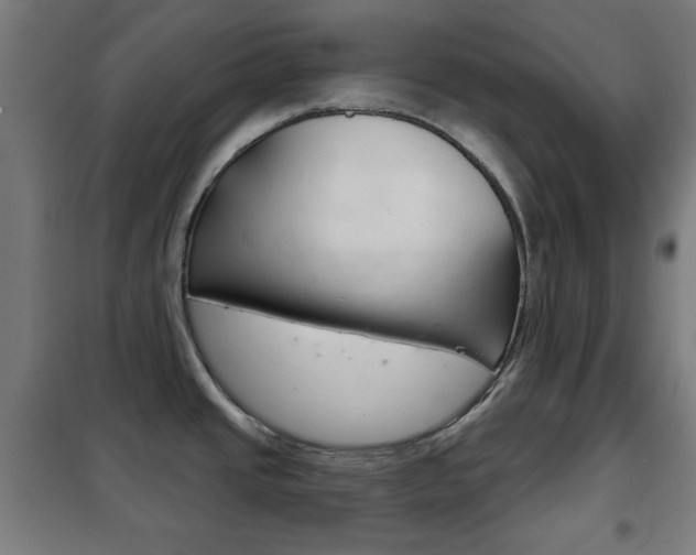 X0000102241437200807250827