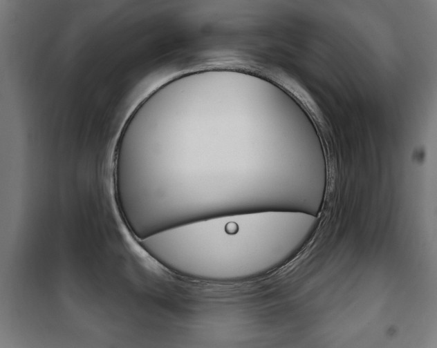 X0000102241439200807250827
