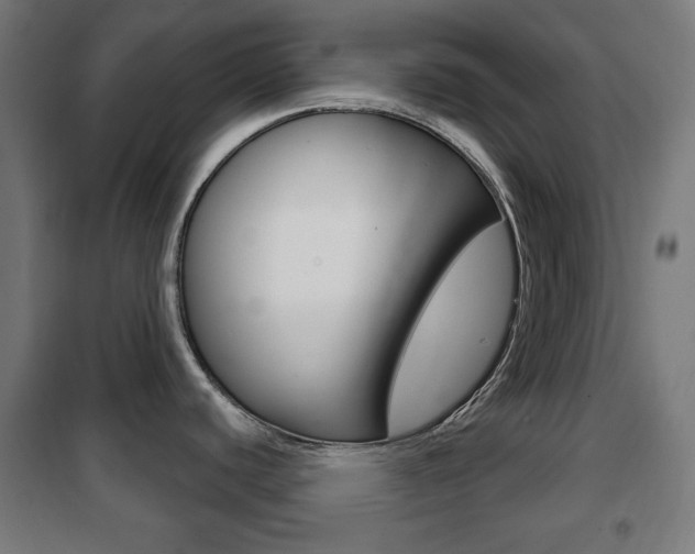X0000102241440200807250827