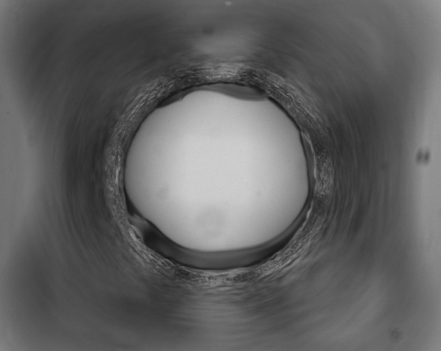 X0000102241441200807250826