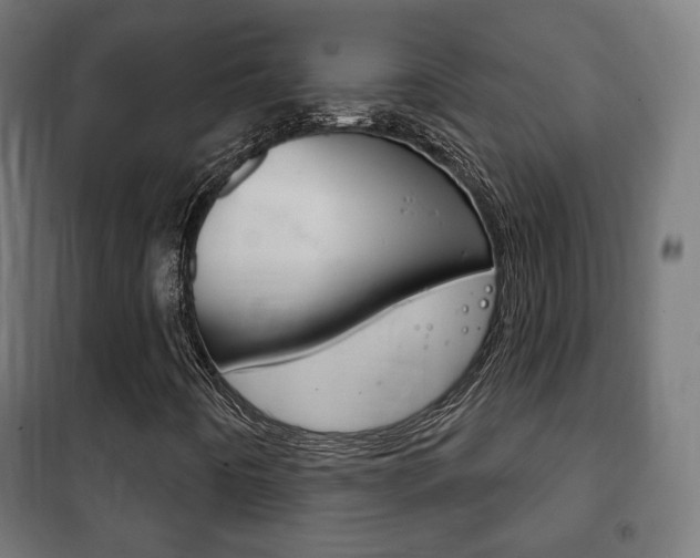X0000102241442200807250826