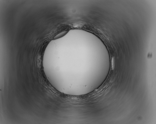 X0000102241443200807250826