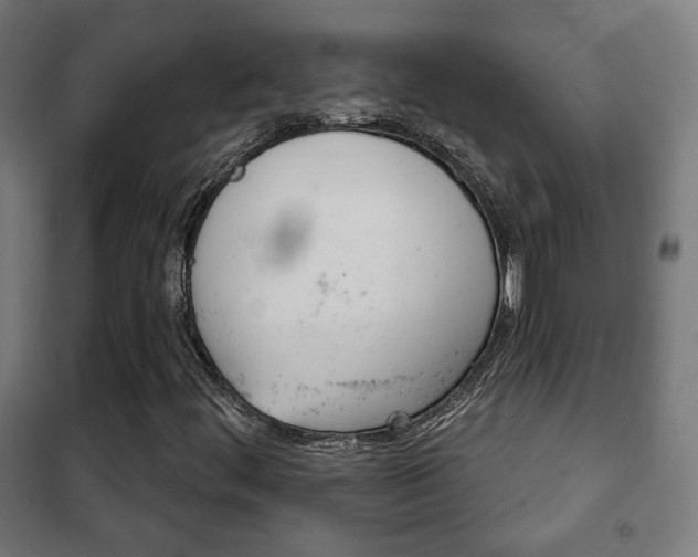 X0000102241444200807250826