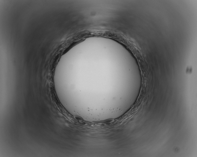 X0000102241445200807250826