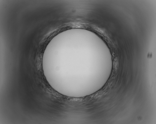X0000102241446200807250826