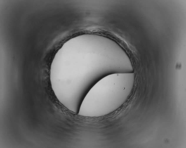 X0000102241447200807250826