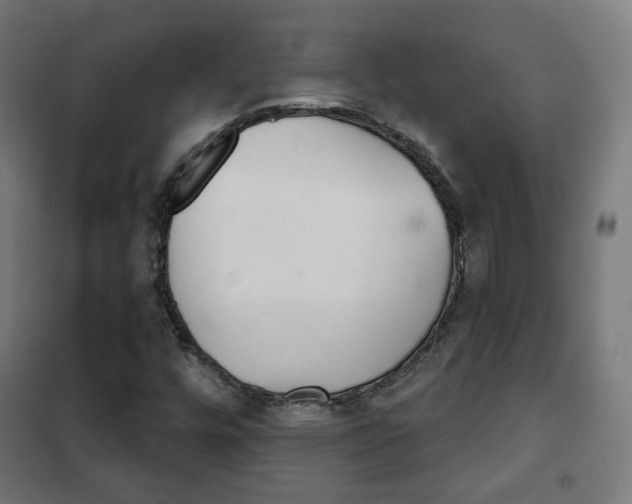 X0000102241448200807250826