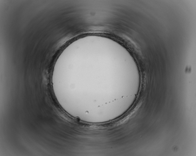 X0000102241449200807250826
