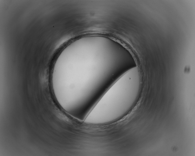 X0000102241450200807250826