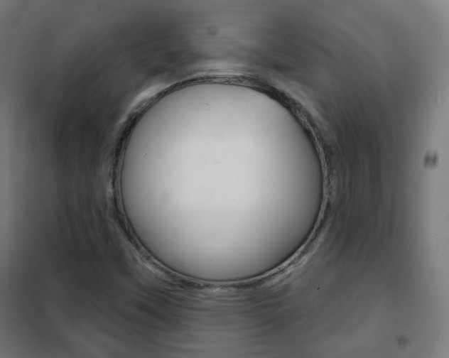 X0000102241451200807250826