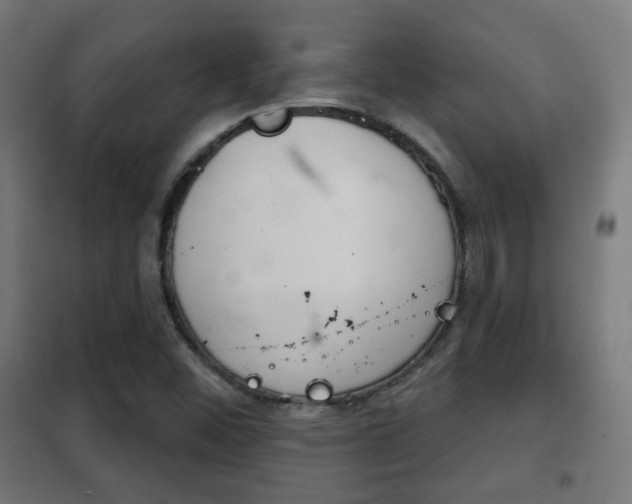 X0000102241452200807250826