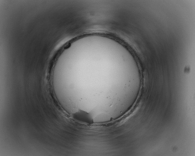 X0000102241453200807250826