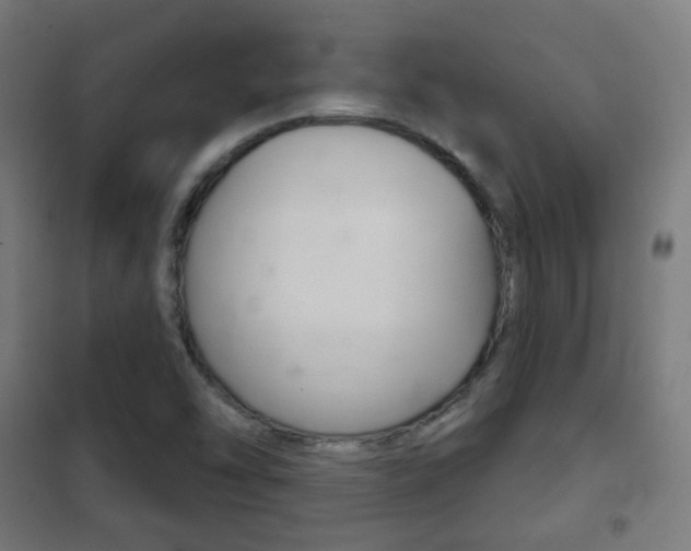 X0000102241454200807250826