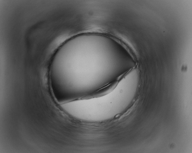 X0000102241455200807250826