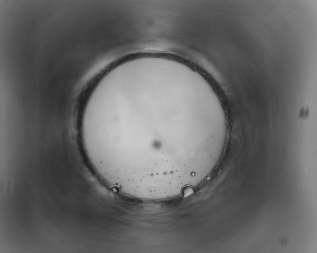 X0000102241456200807250826