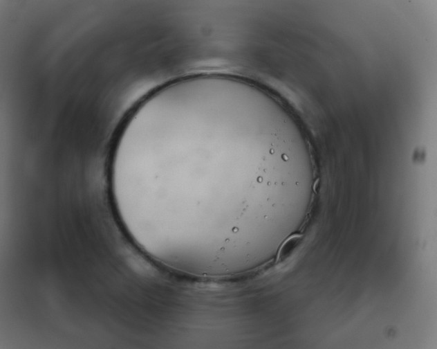 X0000102241458200807250826