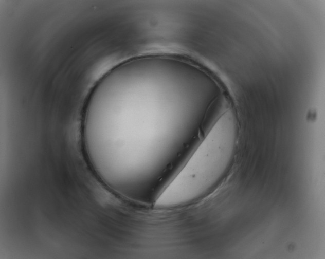 X0000102241459200807250826